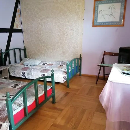 Paw-puszcza Kampinowska *