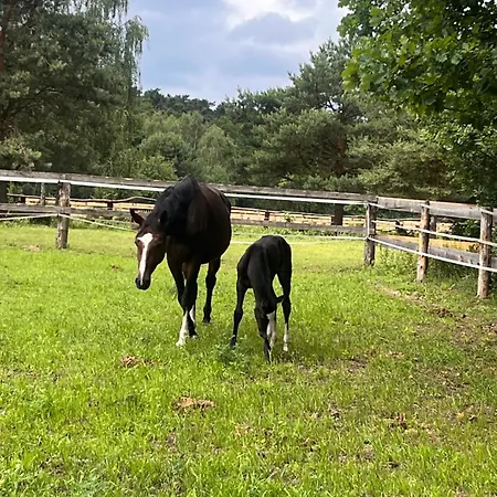 Paw-puszcza Kampinowska Vakantieboerderij *
