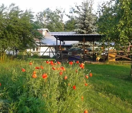 Paw-puszcza Kampinowska *