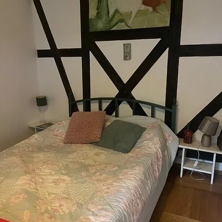 Paw-puszcza Kampinowska * Nowy Secymin