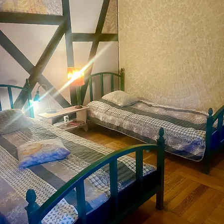 Paw-puszcza Kampinowska *