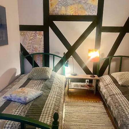 Paw-puszcza Kampinowska